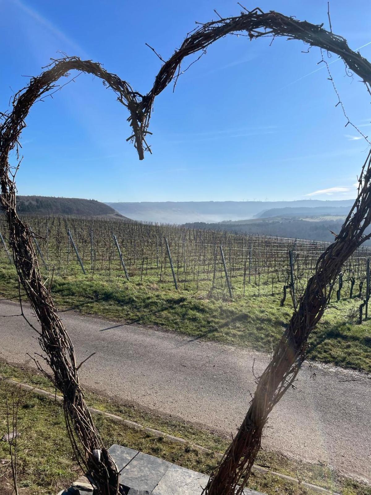 Fewo Waldblick - Urlaub Im Wein & Ferienort Bekond Екстериор снимка